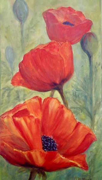 Poppies 2